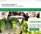 甘鲁全自动捆扎机