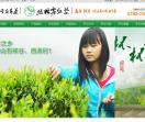 婺源峡谷春茶