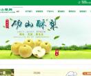 砀山梨网