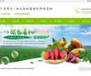 白杨农业种植基地