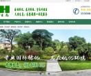 合肥花卉绿植租摆