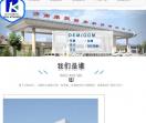 康民药业