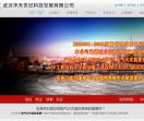 武汉华天世纪科技发展有限公司