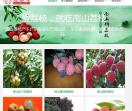 深圳南山爱荔枝园