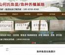 鱼苗批发鱼苗供应商