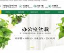 绿植租赁