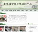 鲁派书画装裱培训