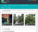 好中医|中医中药网