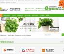 植物绿植