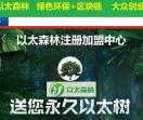 以太森林-【官网】