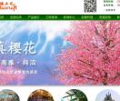仿真树尽在松涛工艺