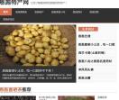 恩施特产网