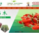 国飞苗木