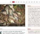 大旗社会_口碑谈论