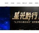 首辰集团