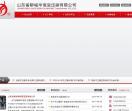 山东省聊城华恒变压器