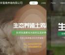 天津柴鸡蛋销售