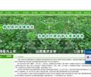 济南绿化苗木