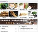 东北人参网