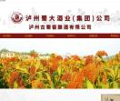 泸州蜀大酒业