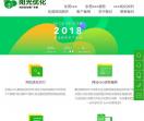 东莞seo