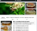 珩飞网络推广