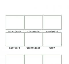 杜泊绵羊
