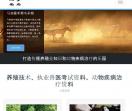 以梦为马