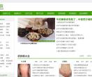 五色旗健康网