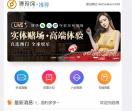 我的藏獒网