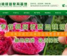 血桃网