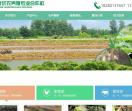 益康优农青蛙养殖