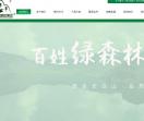 绿森林硅藻泥