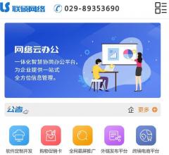 软件开发(联硕网络)