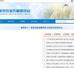 从事电子商务领域经营,电子商务研究开发,