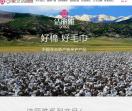 洁丽雅集团官方网站