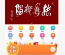 枞阳在线
