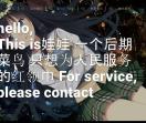 非友音