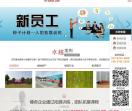 武汉拓展培训
