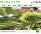 日照格林森苗木合作社
