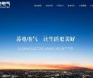 苏电电力